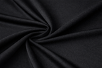 Long Sleeve Prodigy Crop Tops